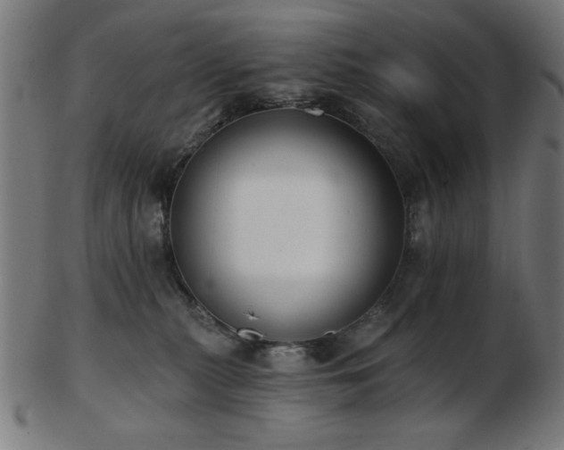 X0000103470279200809121635