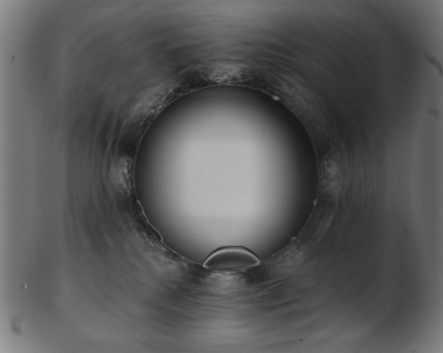 X0000103470280200809121635