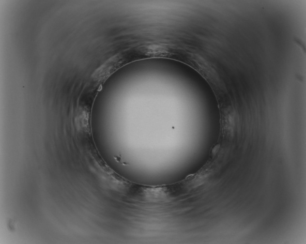 X0000103470281200809121635