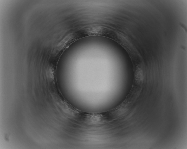 X0000103470282200809121635