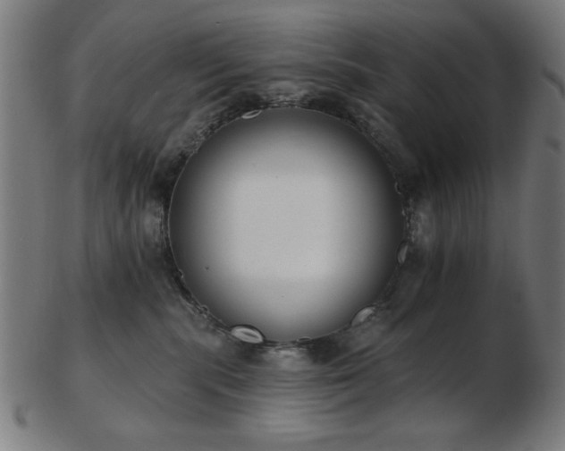 X0000103470283200809121635