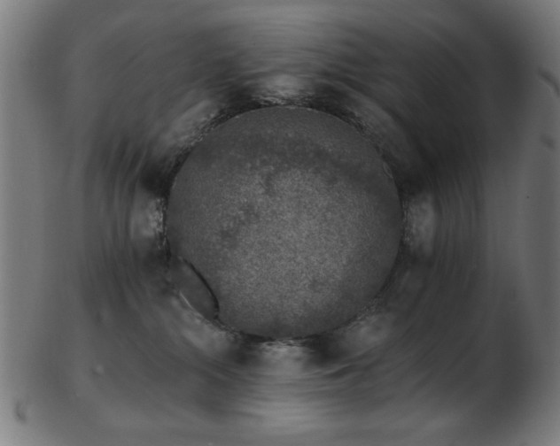 X0000103470284200809121635