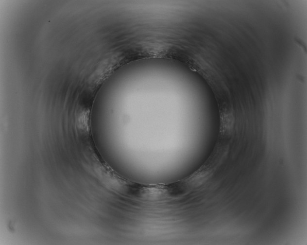 X0000103470286200809121635