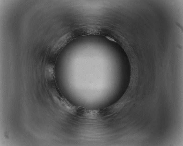 X0000103470288200809121635