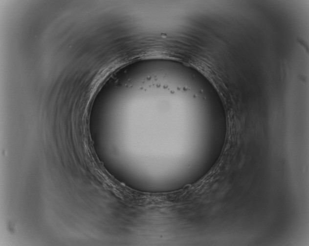 X0000103470289200809121634