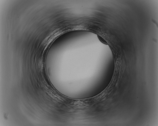 X0000103470290200809121634