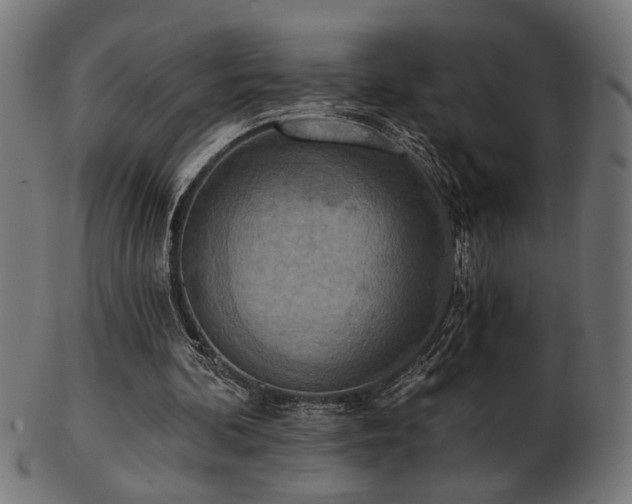 X0000103470292200809121634