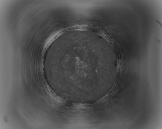 X0000103470293200809121634