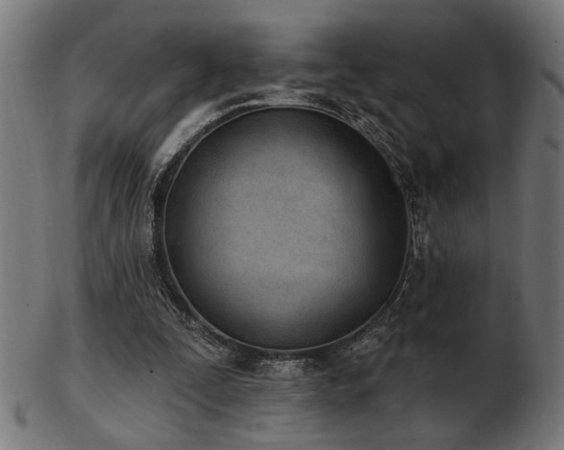 X0000103470295200809121634