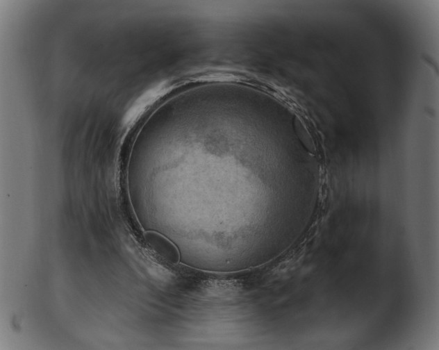 X0000103470296200809121634