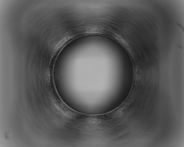 X0000103470298200809121634