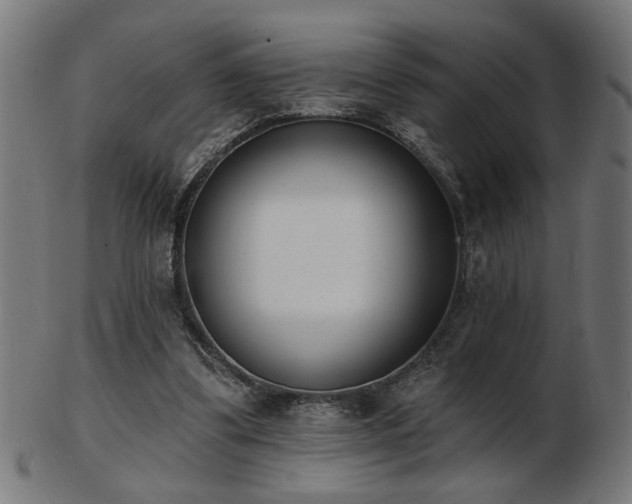 X0000103470299200809121634