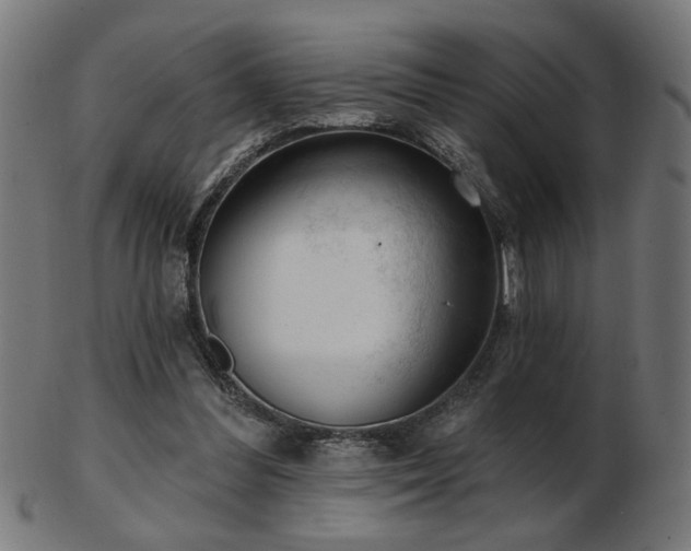 X0000103470300200809121634