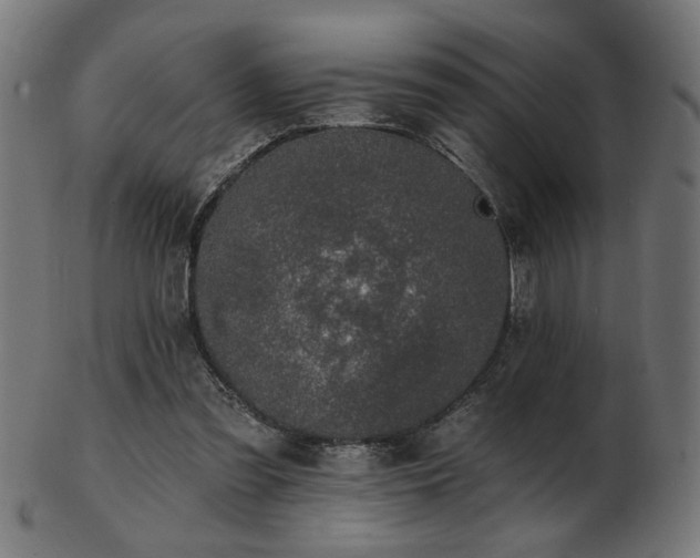 X0000103470301200809121634