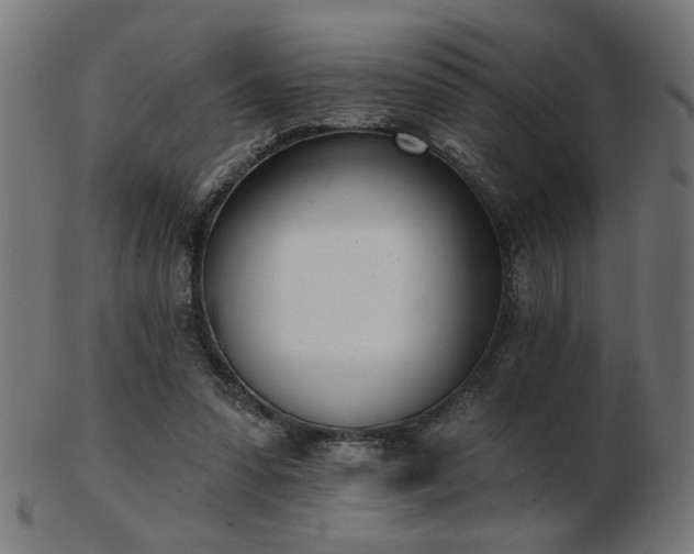 X0000103470303200809121634