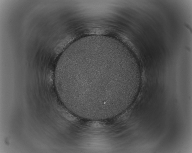 X0000103470305200809121634