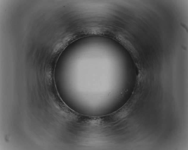 X0000103470306200809121634