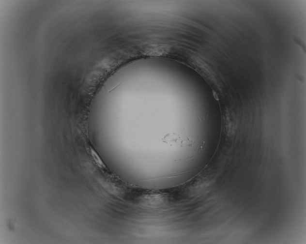 X0000103470307200809121634