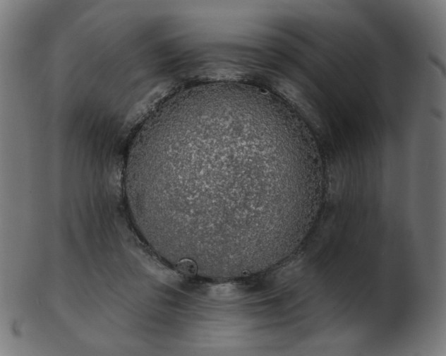 X0000103470309200809121634