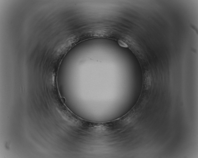 X0000103470310200809121634