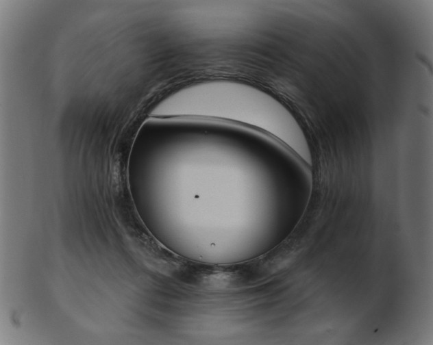 X0000103470312200809121634