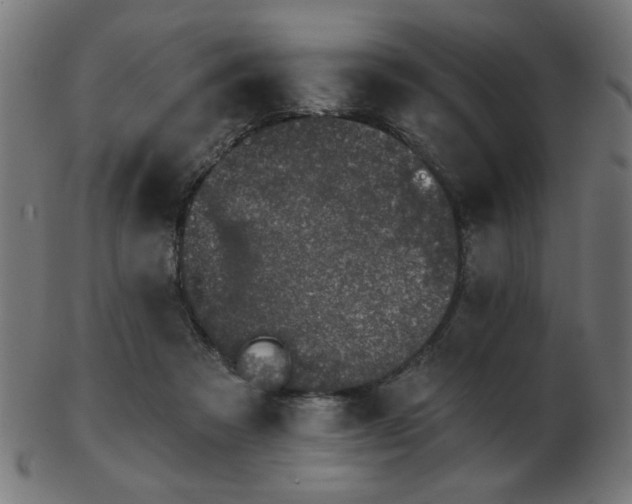 X0000103470313200809121634