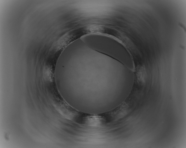 X0000103470316200809121634