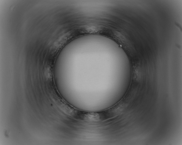 X0000103470317200809121634