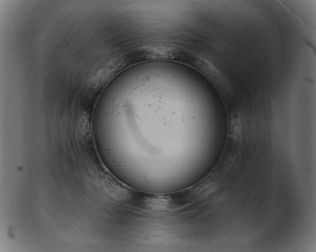 X0000103470318200809121634