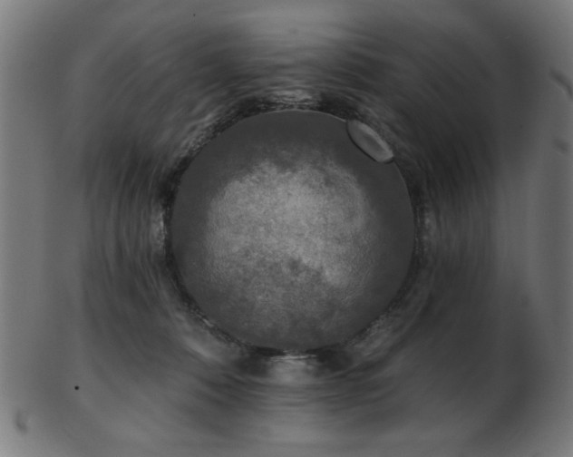 X0000103470320200809121634