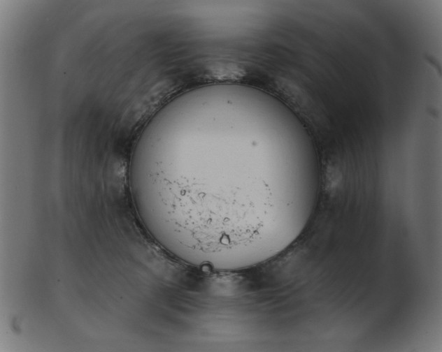 X0000103470321200809121633