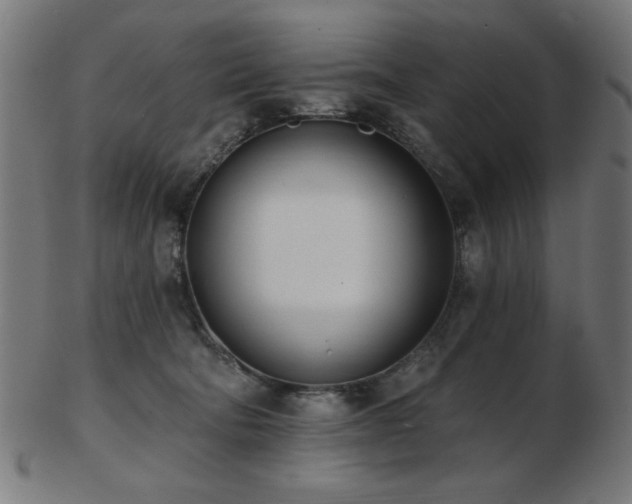 X0000103470322200809121633