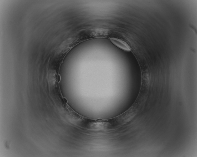 X0000103470323200809121633