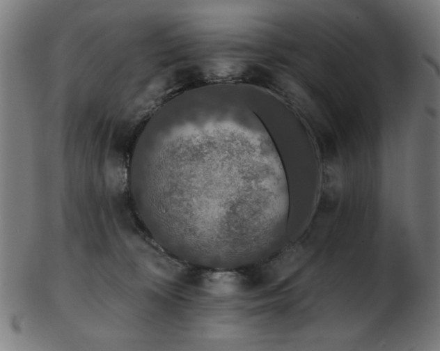 X0000103470324200809121633