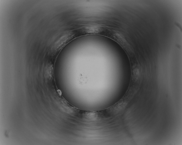 X0000103470325200809121633