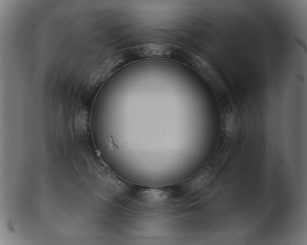 X0000103470326200809121633