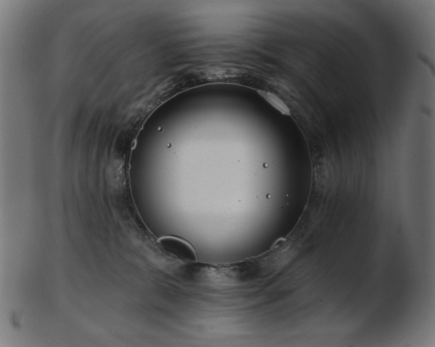 X0000103470327200809121633