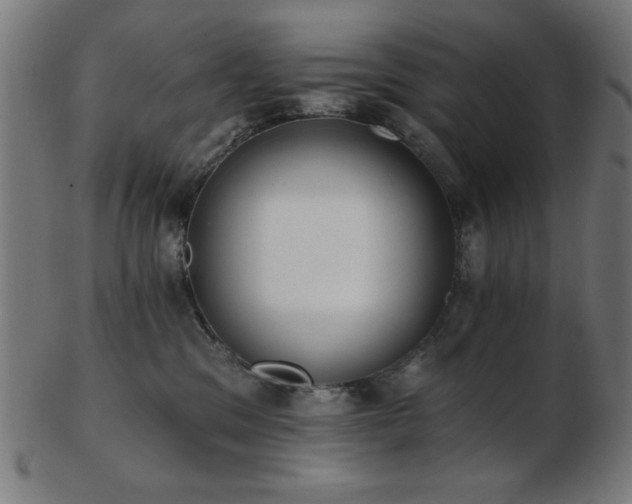 X0000103470329200809121633