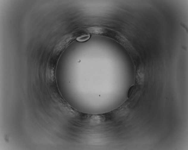 X0000103470330200809121633