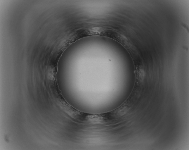 X0000103470331200809121633