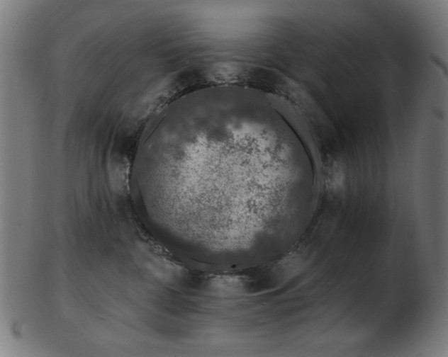 X0000103470332200809121633