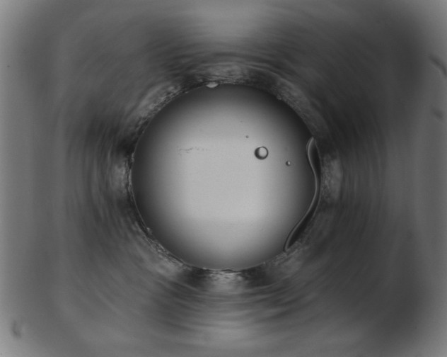 X0000103470333200809121633