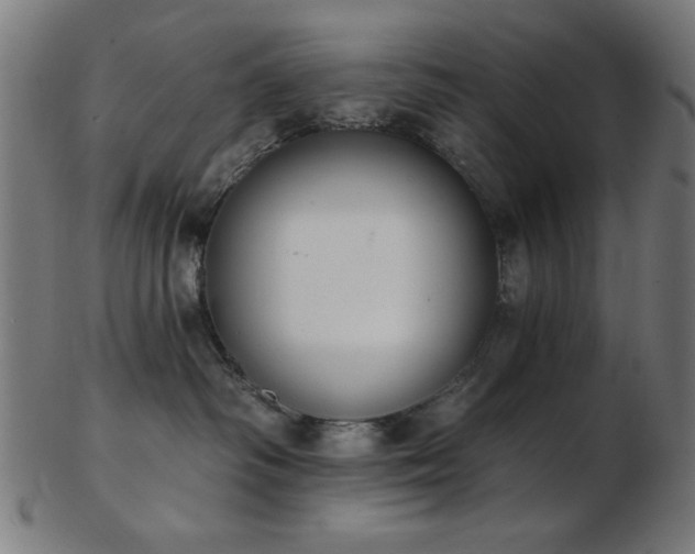 X0000103470334200809121633