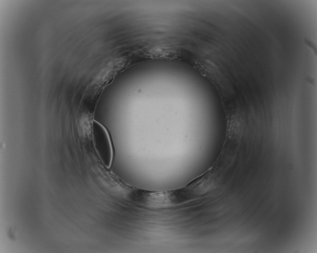 X0000103470335200809121633