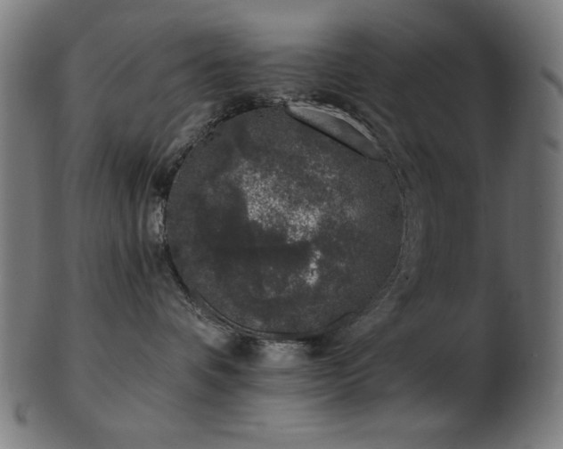 X0000103470336200809121633