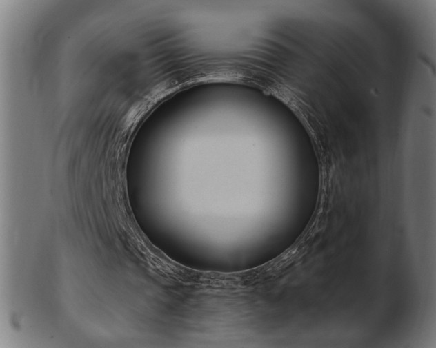 X0000103470337200809121633