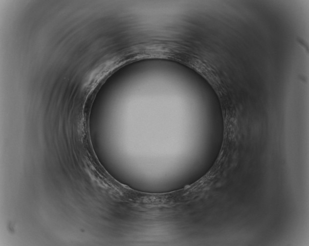 X0000103470338200809121633