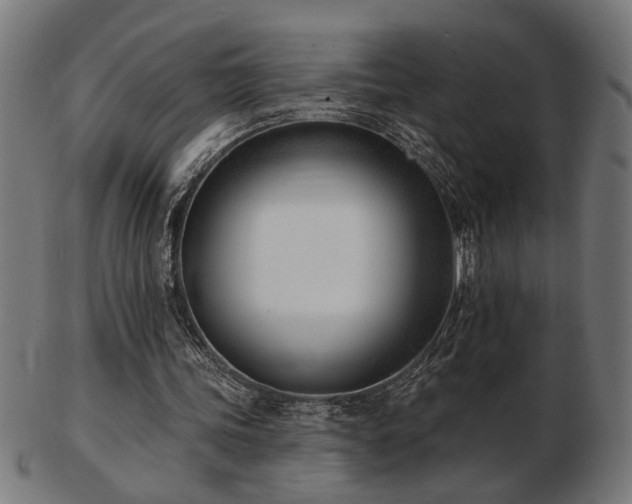 X0000103470339200809121633