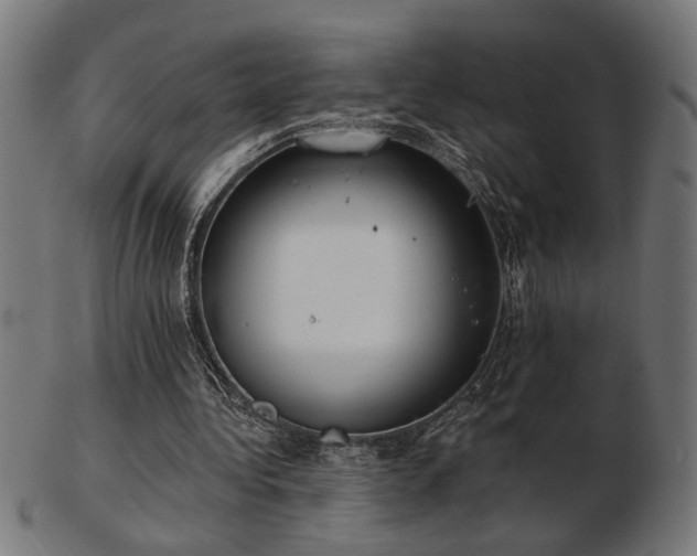 X0000103470340200809121633