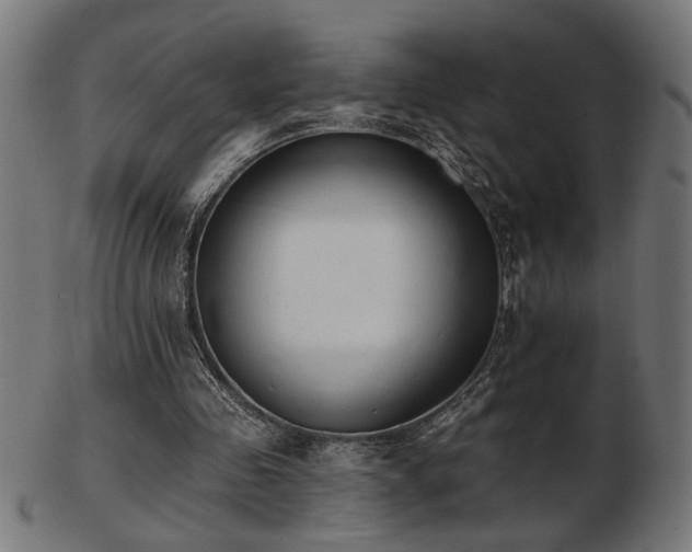 X0000103470341200809121633